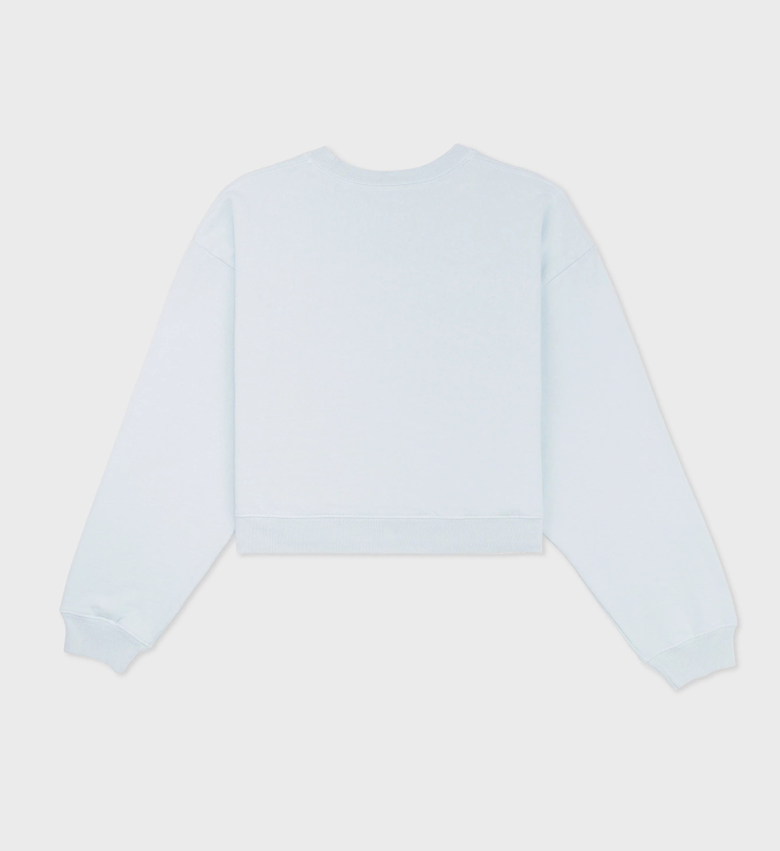 Wellness Ivy Cropped Crewneck - Baby Blue/White - Image 4